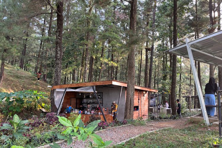  Ini Dia Kafe yang Menyatu dengan Alam di Pemalang, Nongkrong Bisa Sekaligus Healing