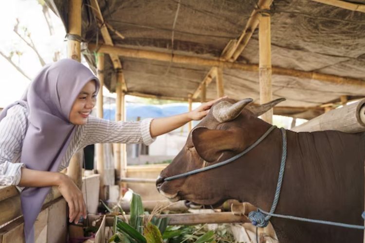 Hari Raya Idul Adha Sebentar Lagi, Yuk Simak Tips Memilih Hewan Kurban yang Baik