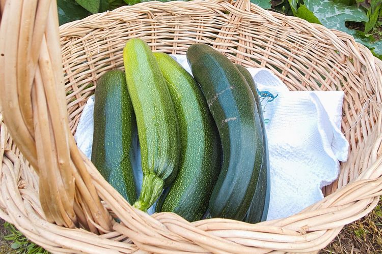 Zucchini: Sayuran Ramah Diet yang Menawarkan Banyak Nutrisi