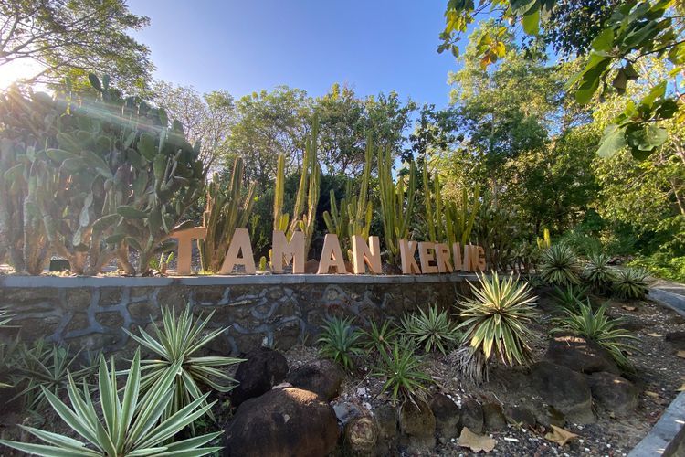 Mau Punya Taman Kering Unik Ala Jepang, Yuk Mampir Dulu ke Taman Kering di Parepare