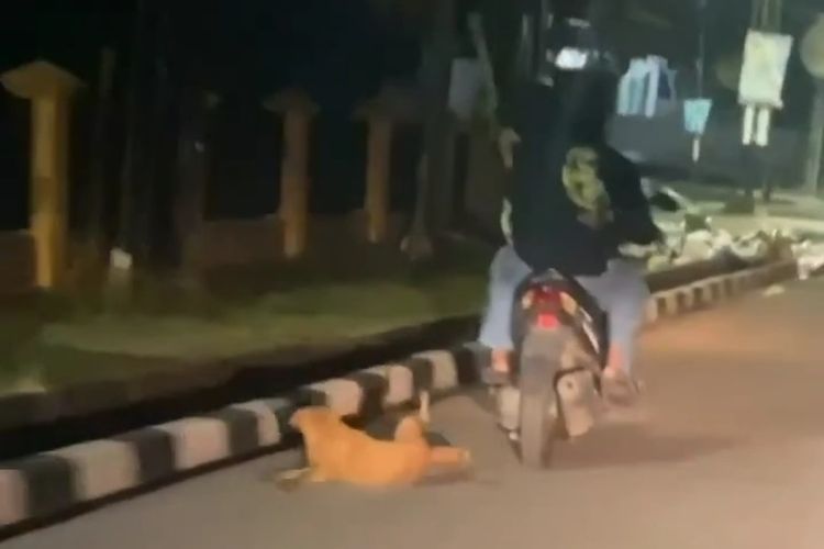 Viral! Video Dua Orang Pria Seret Anjing Pakai Motor di Jambi, Kapolresta Akan Cari Pelaku
