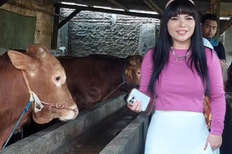 Dinar Candy Borong Sapi Kurban Seberat 580 Kg untuk Idul Adha, Bakal Dibawa ke Cianjur