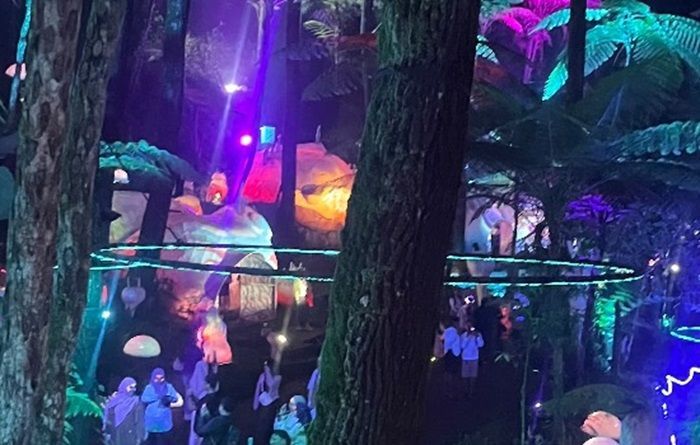Menikmati Pemandangan Menakjubkan Hutan Malam Hari di Wahana Edukasi Hutan Mycelia