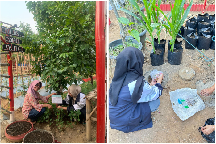 Mahasiswa KKN Undip Menyulap Taman Dawis Menjadi Taman yang Inovatif