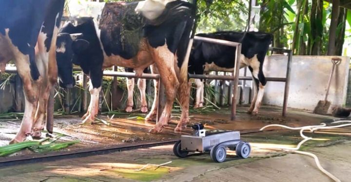Mahasiswa Vokasi IPB Ciptakan Alat Deteksi Mastitis Sapi Perah Berbasis Internet of Things 