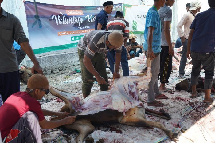 Belum Pernah Akikah Tetapi Ingin Berkurban, Mana yang Harus Didahulukan?