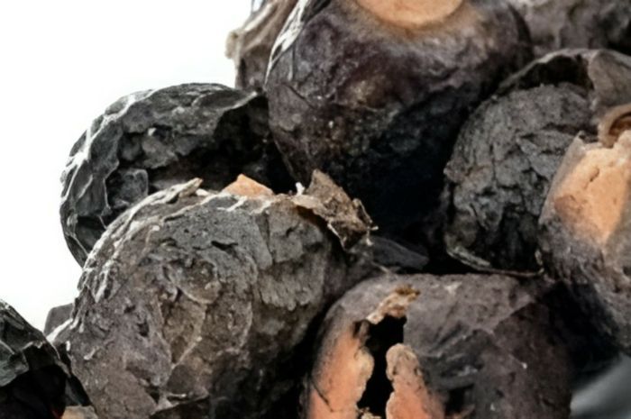 Fakta Menarik Lerak, Buah Mengandung Alkaloid Beracun yang Bisa Selamatkan Bumi