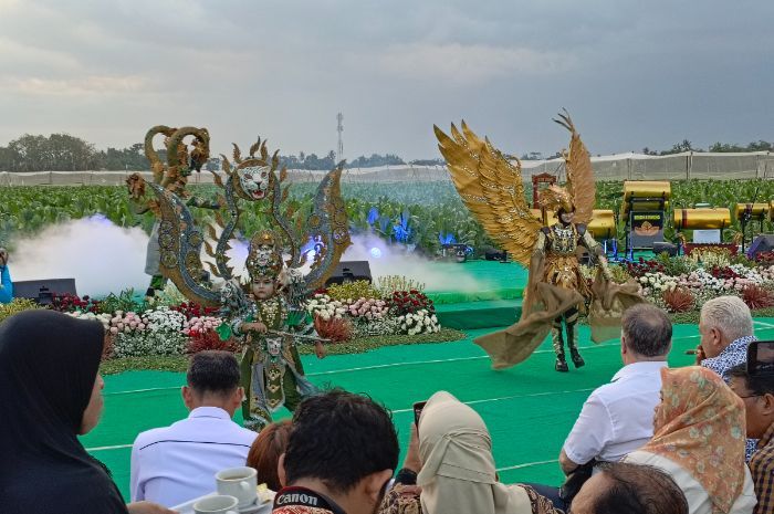Unik, Acara Festival Jember Kota Cerutu Indonesia Ada Fashion Show di Tengah Kebun Tembakau