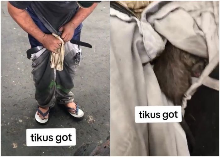 Viral Bapak-bapak Gemetaran karena Tikus Got Masuk ke Celana, Ngakak Tikusnya Mati Terkapar