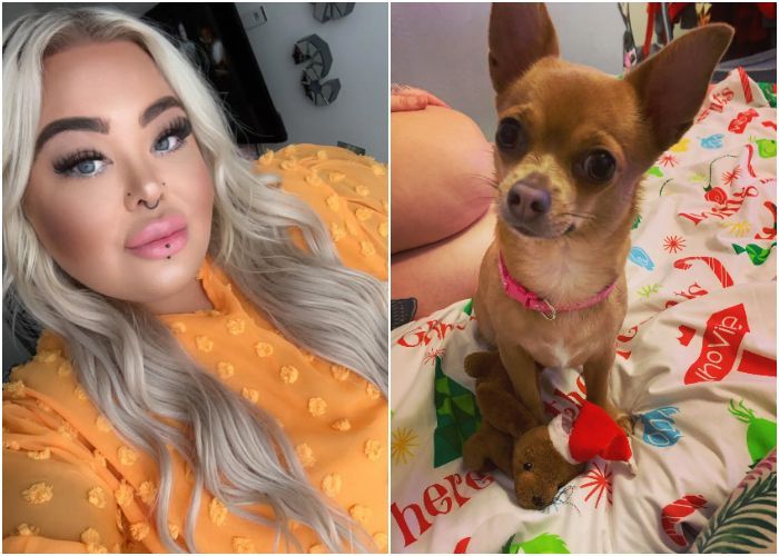 Waduh, Wanita Ini Cedera Patah Tulang Pergelangan Kaki Usai Kesandung Anjing Chihuahua, Kok Bisa?
