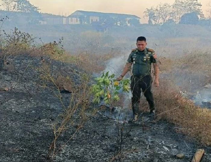 Aksi Heroik ! Dandim 1405/Parepare Bersama Ajudan Gunakan Alat Seadanya Padamkan Kebakaran Lahan