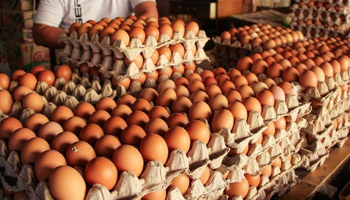 Hari Telur Sedunia Dirayakan Tiap 13 Oktober, Kenali Manfaatnya Berikut Ini