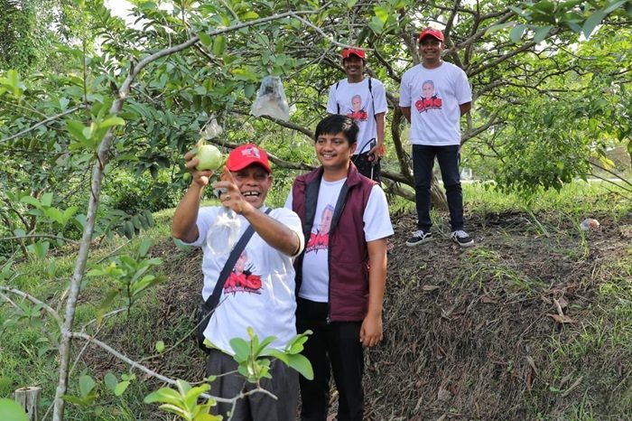 Petani Jambu di Riau Berharap Relawan Ganjar Mampu Pecahkan Persoalan Pupuk
