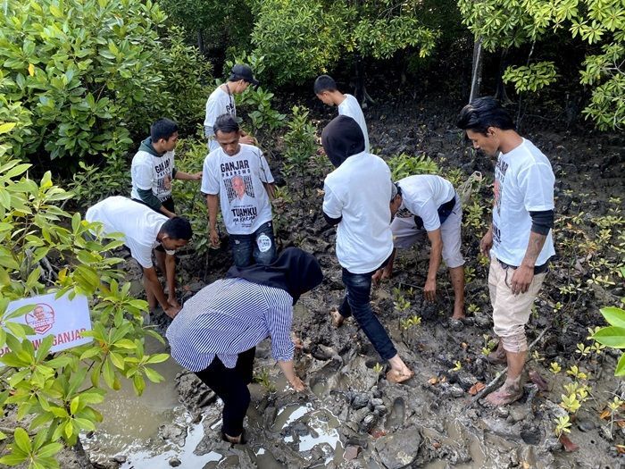 Tanam Mangrove, Jadi Cara Pandawa Ganjar Ajak Warga Desa Ujang Jaga Lingkungan