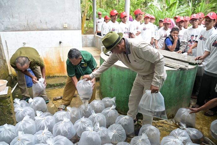 Masyarakat Antusias Ikuti Pelatihan Budidaya Ikan Air Tawar, Relawan Sahabat Sandi Uno Mulai Sosialisasikan Program Ganjar-Mahfud