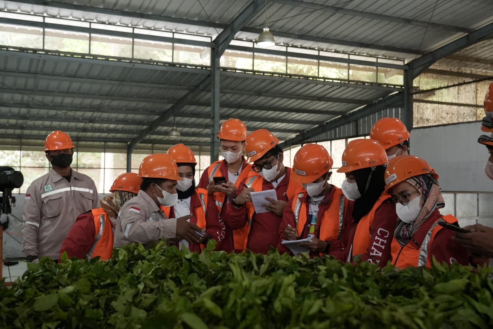 Battle Round DSC di Perkebunan Teh: Buktikan 3P Para Challengers, Jawab Tantangan Leadership dan Berpikir Strategis 