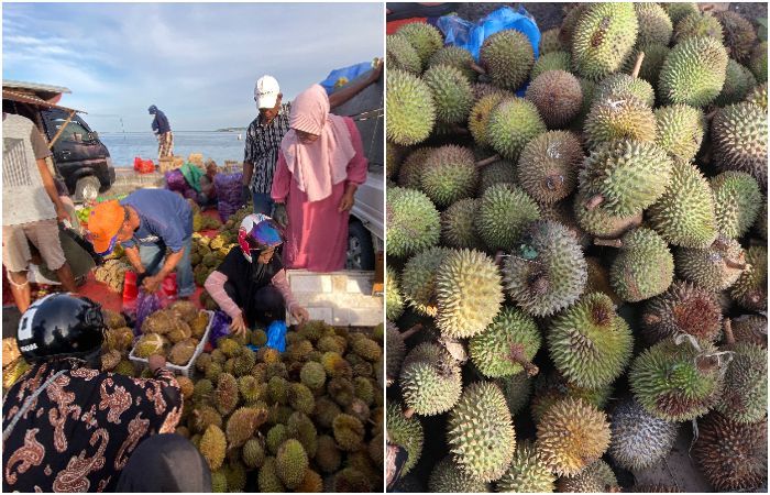 Parepare 'Banjir' Durian, Cuma Bawa Rp5 Ribu Udah Bisa Nikmati Legitnya Si Raja Buah