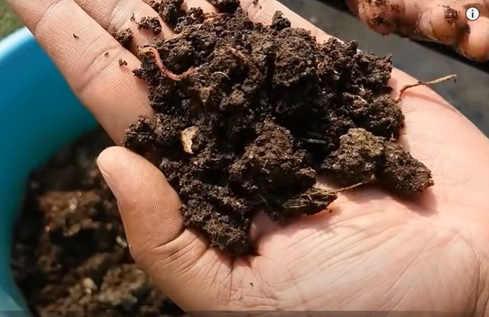 Mari Berkebun, Tips Bikin Kompos Mudah di Rumah yang Kamu Harus Tau
