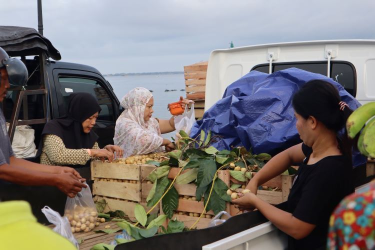 Bikin Ngiler, Buah Langsat Banjiri Pasar Rakyat di Parepare