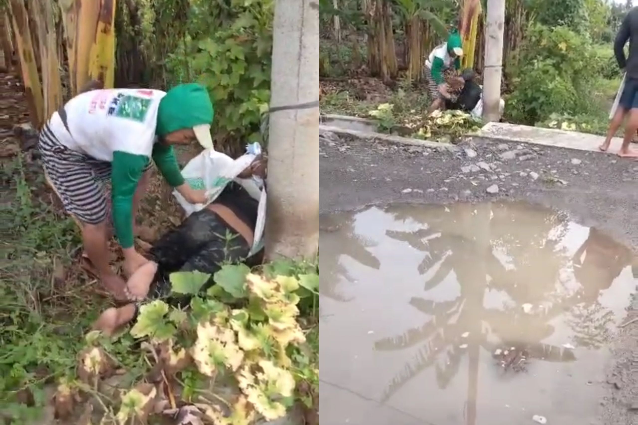 Viral, Maling Pisang di Pinrang Dikarungin Warga