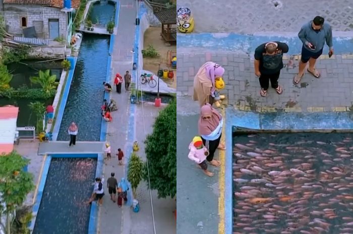 Bikin Takjub! Saluran Irigasi di Kampung Mrican Jadi Bersih dan Penuh Ikan Berkat Para Pemuda Kampung