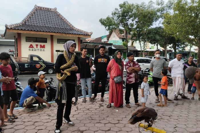 Komunitas Pecinta Reptil di Sumenep Hadirkan Hiburan Edukatif saat Ngabuburit di Taman Kota