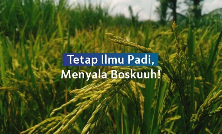Viral Istilah 