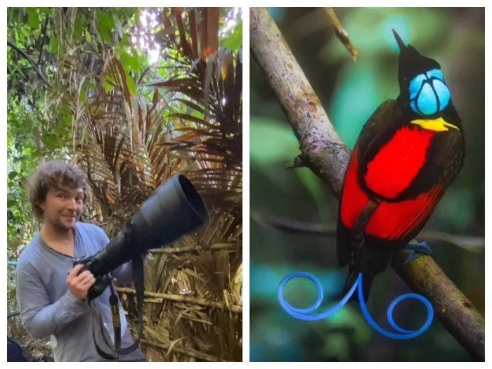 Fotografer Internasional Ini Rela Mendaki Gunung Papua demi Burung Cendrawasih Botak