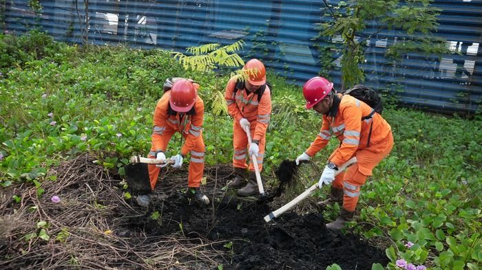 Peringati Hari Bumi, 1.000 Pohon Ditanam di Wilayah Industri PT IMIP
