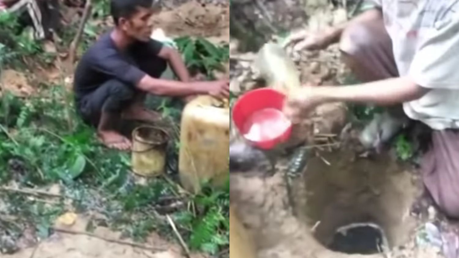 Viral! Penemuan Sumur Minyak di Tengah Hutan: Dijual 2 Juta Setiap Lubang!