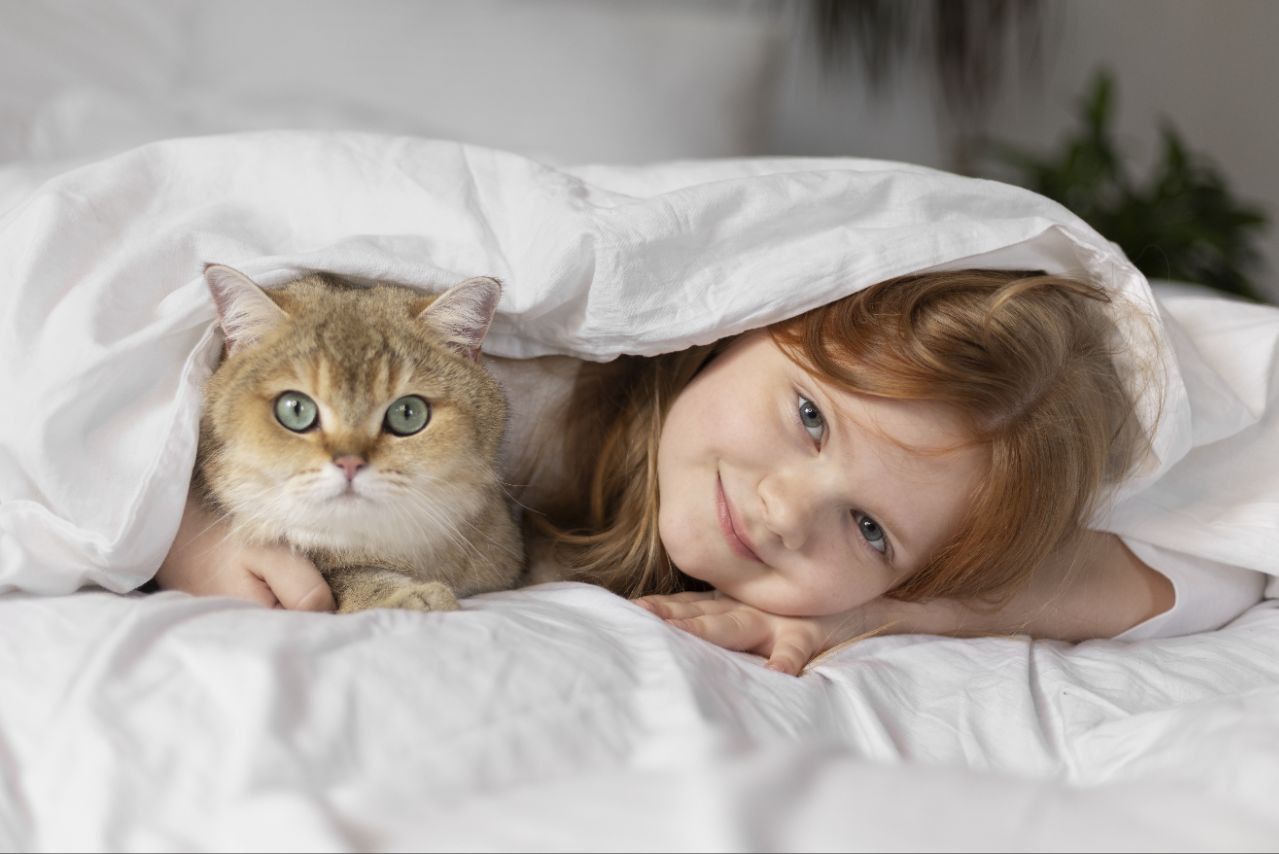 5 Hal Ini Ternyata Bisa Bikin Kucing Jadi Cepet Stres, Apa Saja Ya?