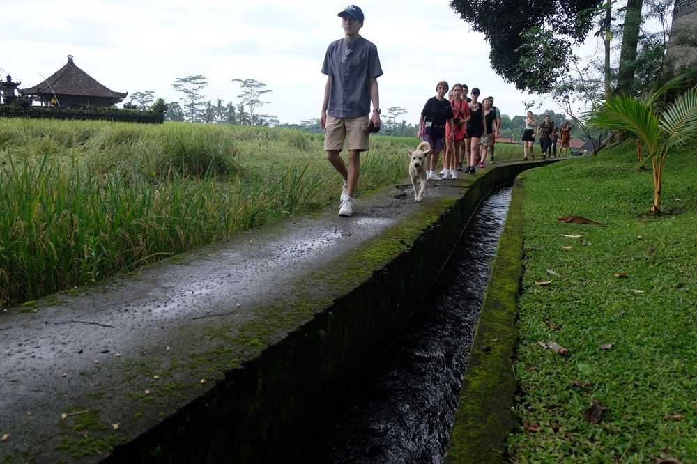 Sistem Irigasi Subak di Bali Jadi Kebanggaan Indonesia di World Water Forum ke-10