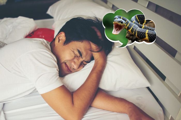 Arti Mimpi Digigit Ular Menurut Primbon Jawa dan Pandangan Islam