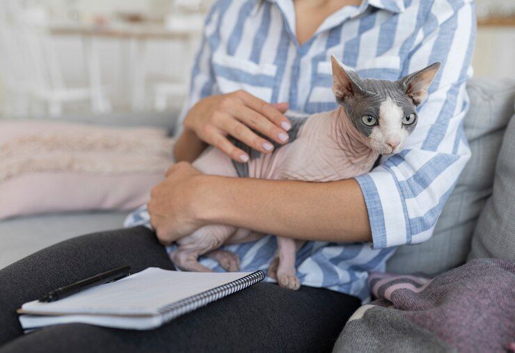 5 Bagian Tubuh Kucing yang Sensitif Banget, Awas Bisa Bikin Gak Nyaman!