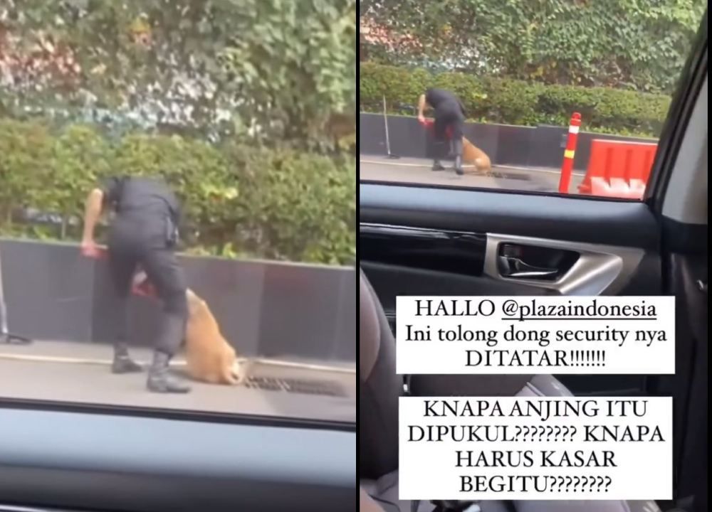 Viral Aksi Sekuriti di Mal Jakarta Pukul Anjing Penjaga Jadi Sorotan di Medsos, Polisi Turun Tangan