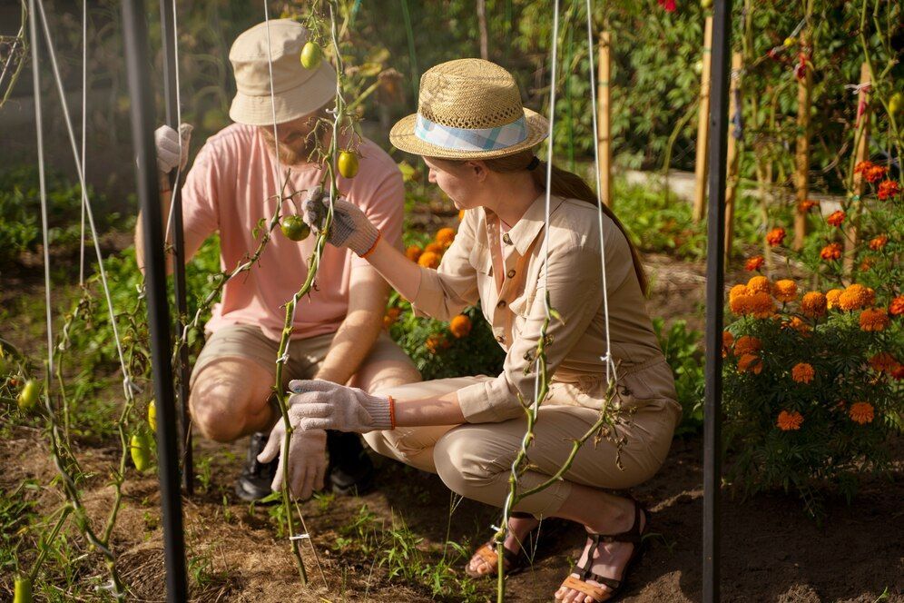 5 Zodiak Paling Suka Berkebun, Punya Jiwa Pencinta Tanaman!