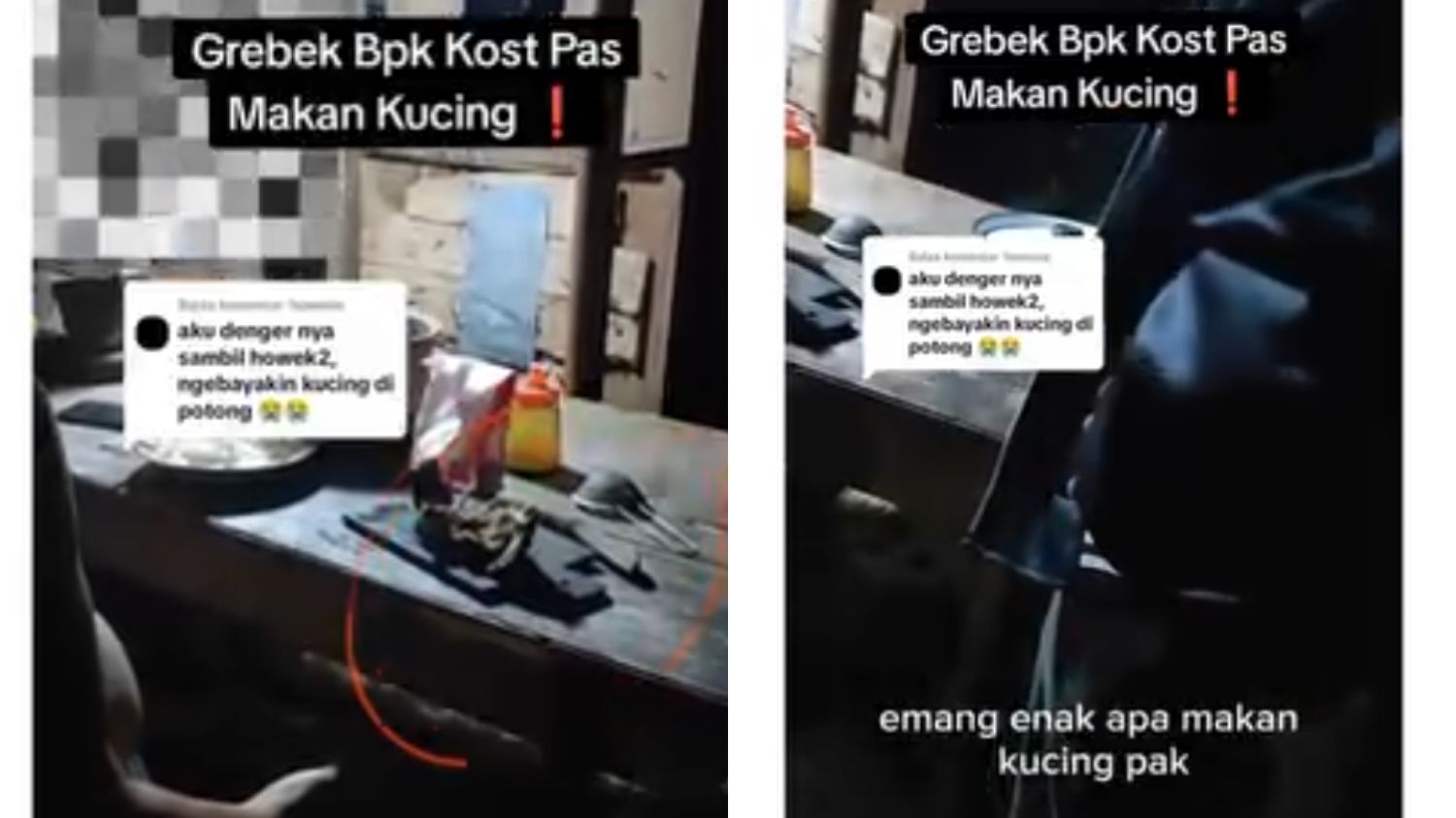 Viral Aksi Bapak Kos Masak Daging Kucing untuk Obat Diabetes, Netizen: Miris Banget!