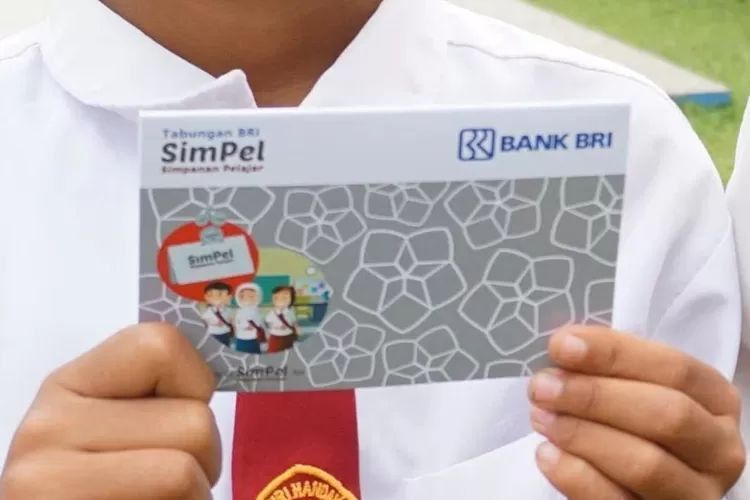Cara Cek Bantuan PIP dengan Mudah 2024