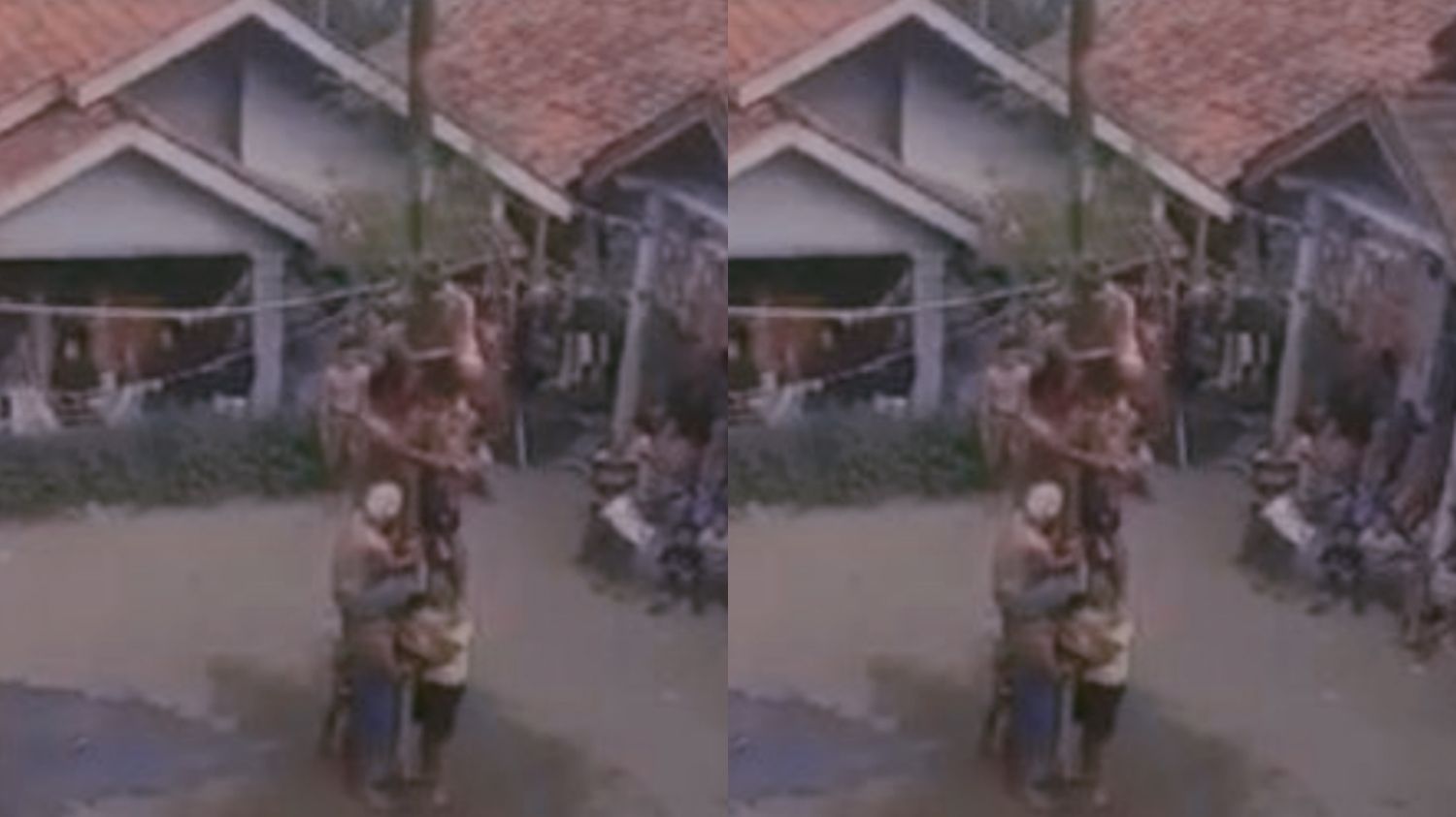 Lomba Panjat Pinang HUT Ke-79 RI di Brebes Berujung Tragedi, Satu Peserta Tewas