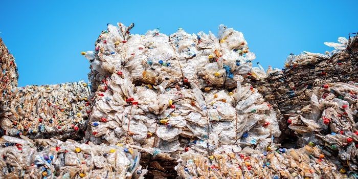 Hari Lingkungan Hidup 2025: Hentikan Polusi Plastik