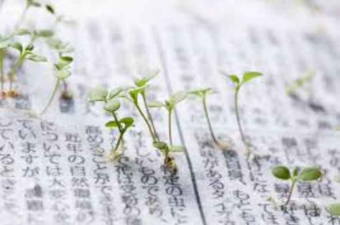 Inovasi Hijau Jepang, Koran yang Bisa Ditanam setelah Dibaca