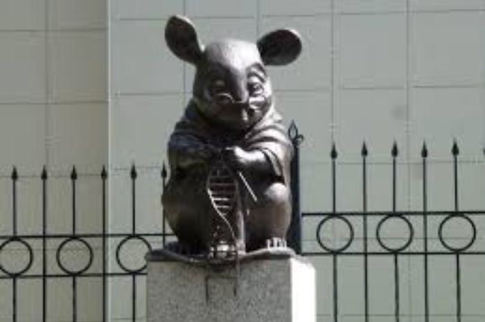 Patung Tikus Percobaan di Rusia, Pengingat Peran Penting Hewan dalam Kemajuan Penelitian Ilmiah
