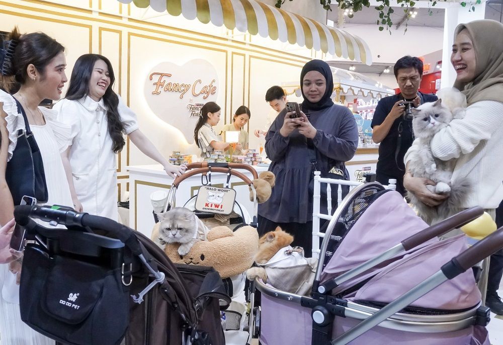 Belajar Tingkatkan Emotional Bonding dengan Anabul Kucing, Salah Satunya Lewat Nutrisi