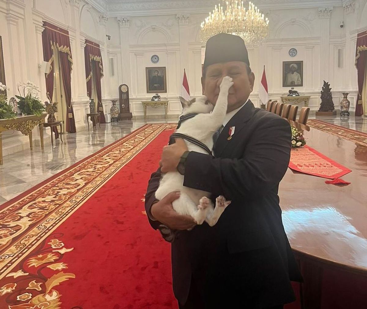 Aksi Menggemaskan Kucing Bobby Kertanegara Cakar dan Gigit Presiden Prabowo Bikin Netizen Heboh