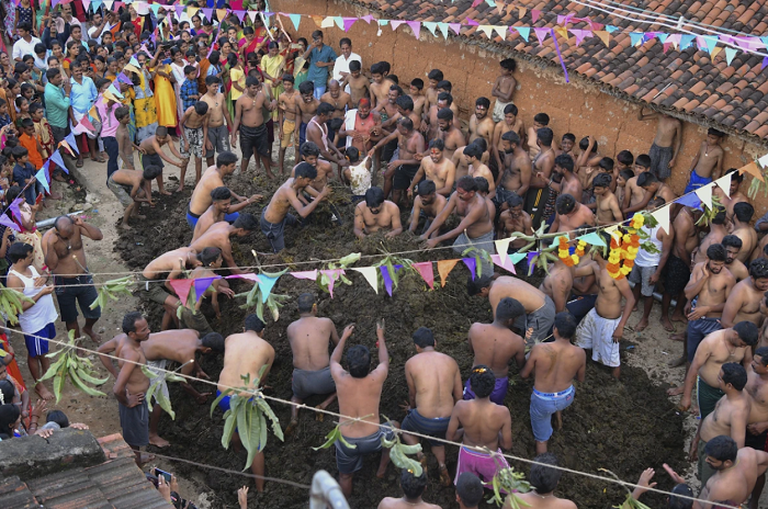 Gorehabba: Festival Unik di India yang Rayakan Diwali dengan Kotoran Sapi