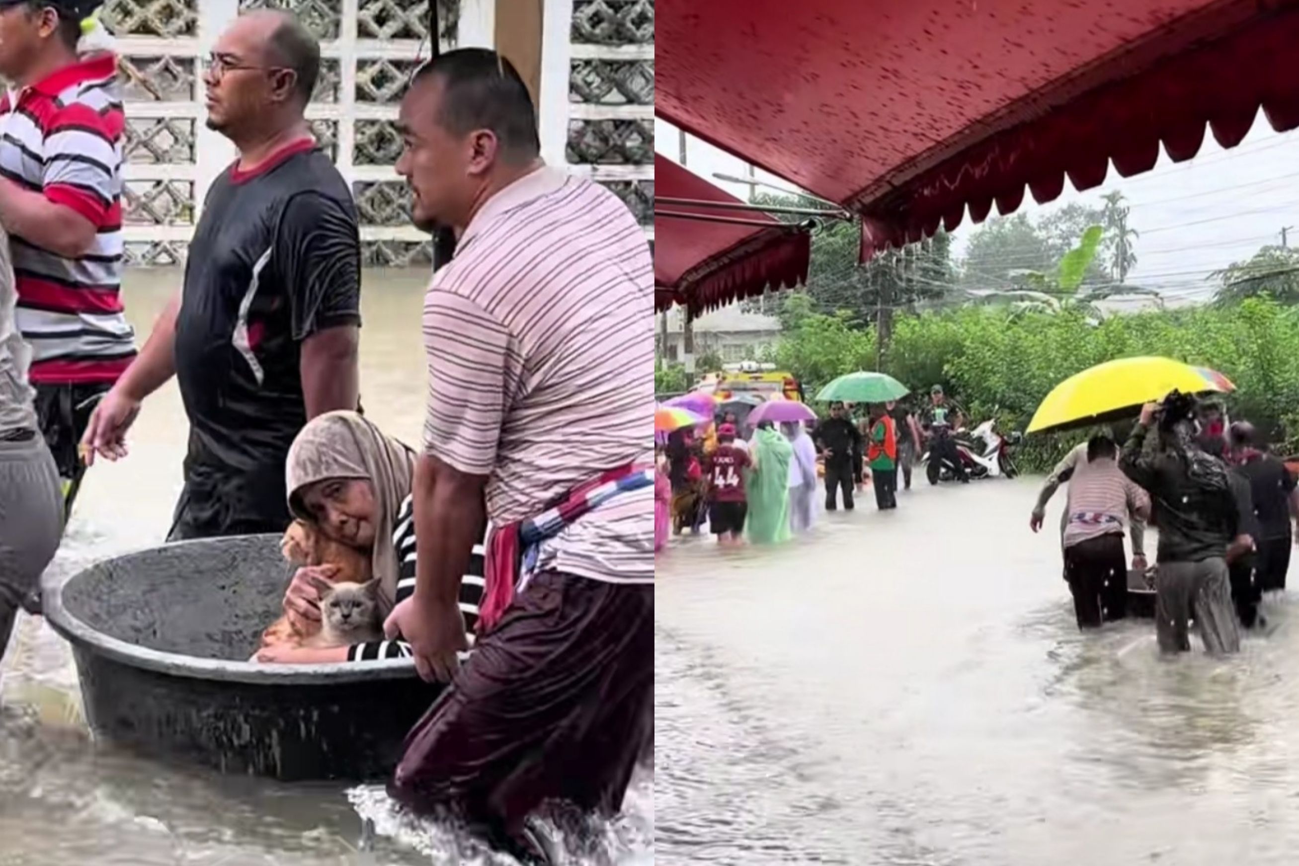 Viral! Aksi Warga Tolong Seorang Nenek dan Kucing saat Banjir Tuai Pujian