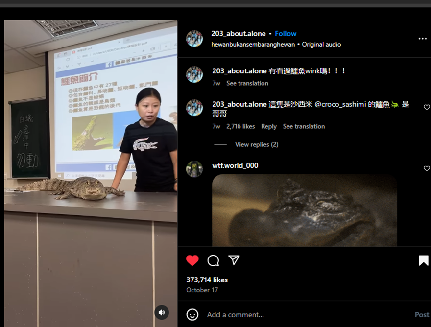 Agak Laen, Guru di Taiwan ini Bawa Buaya Asli Saat Mengajar