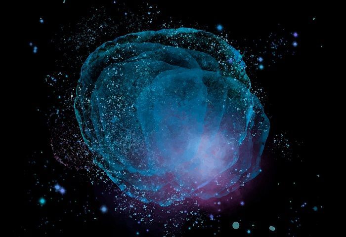 Mengenal Fenomena Bioluminescent, Cahaya Biru yang Indah di Lautan