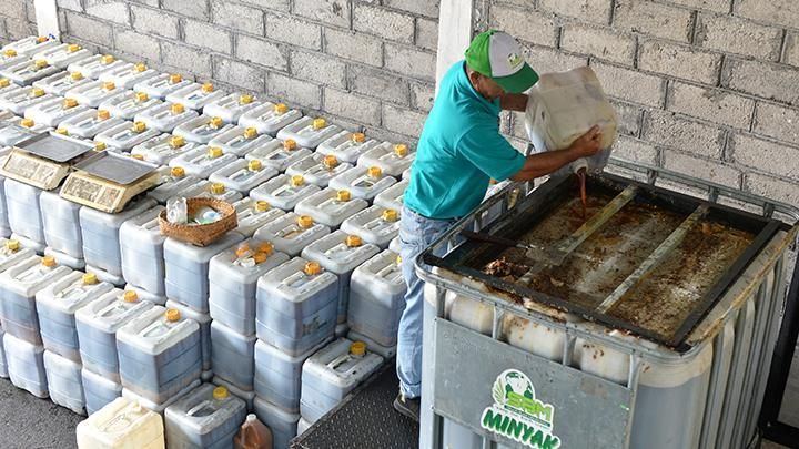 Panduan Lengkap Untuk Menjual Minyak Jelantah ke Pertamina, Bisa Dapatkan Saldo e-wallet Hingga Poin