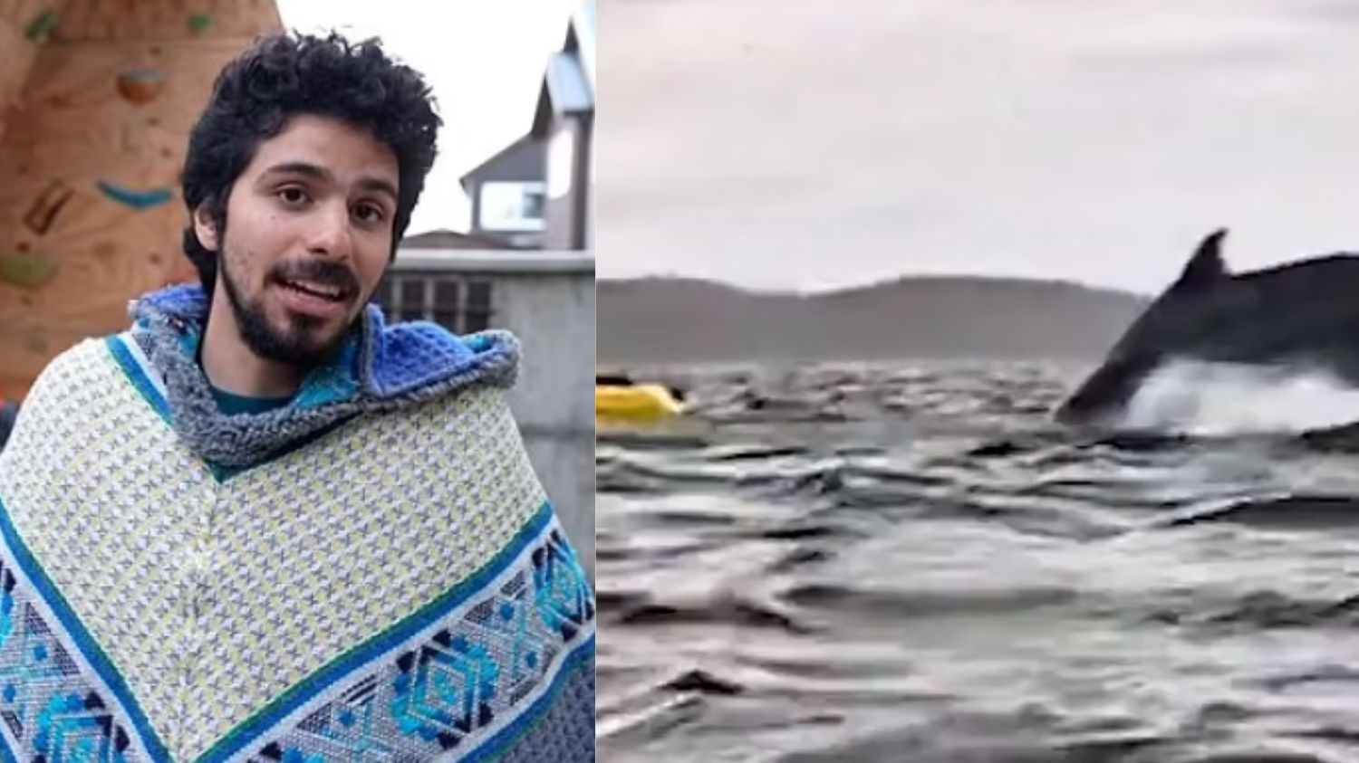 Nyaris Jadi Cemilan Paus! Inilah Kisah Adrian Simancas yang Hampir Ditelan di Laut Patagonia